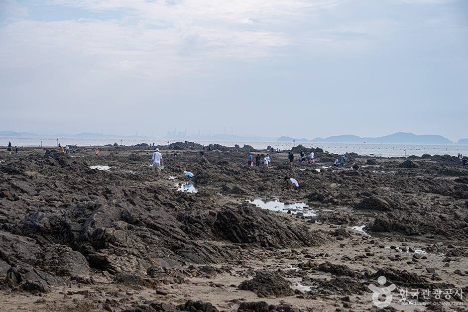 제부리어촌체험휴양마을 (11)