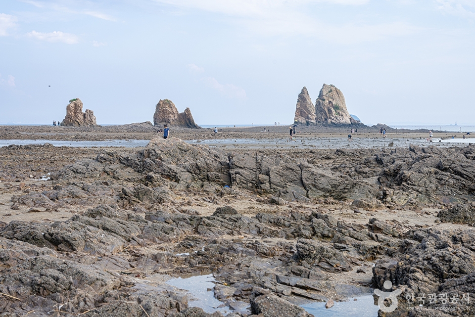 제부리어촌체험휴양마을 (13)