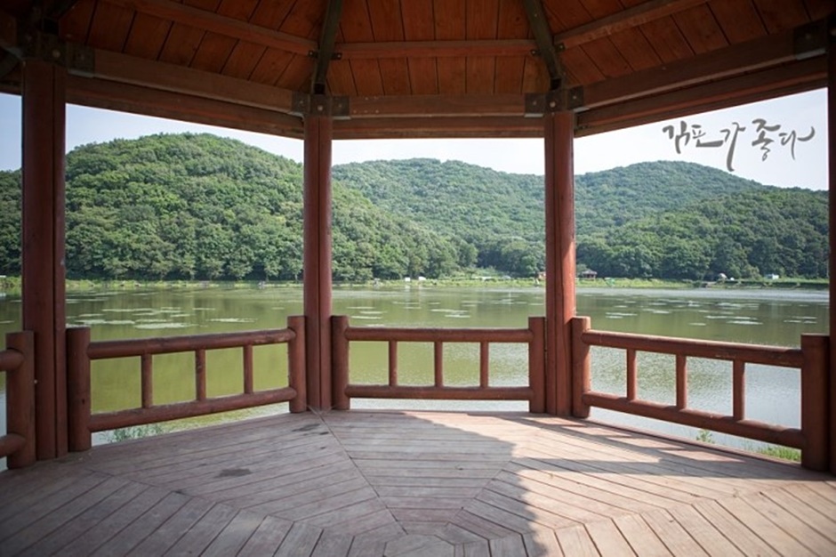 경기도_김포시_조강저수지_조강저수지정자