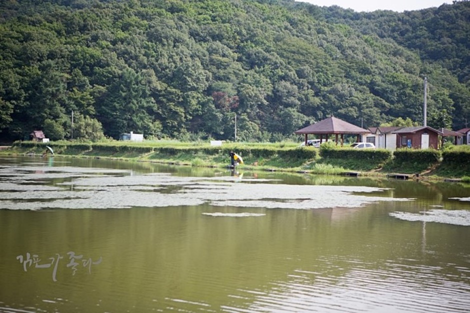 경기도_김포시_조강저수지_조강저수지풍경