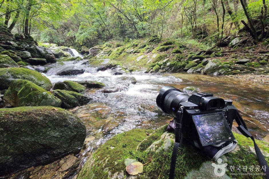 경기_가평_조무락계곡 (3)
