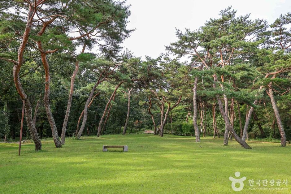 경기_여주_조선효종영릉재실 (7)