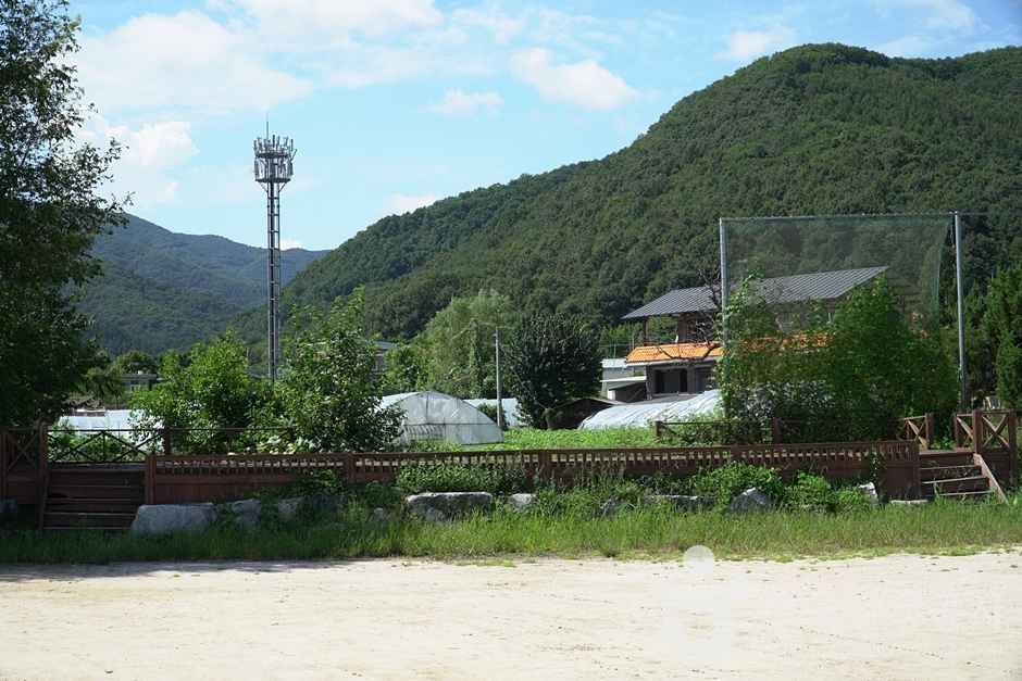 조안면체육공원 (6)