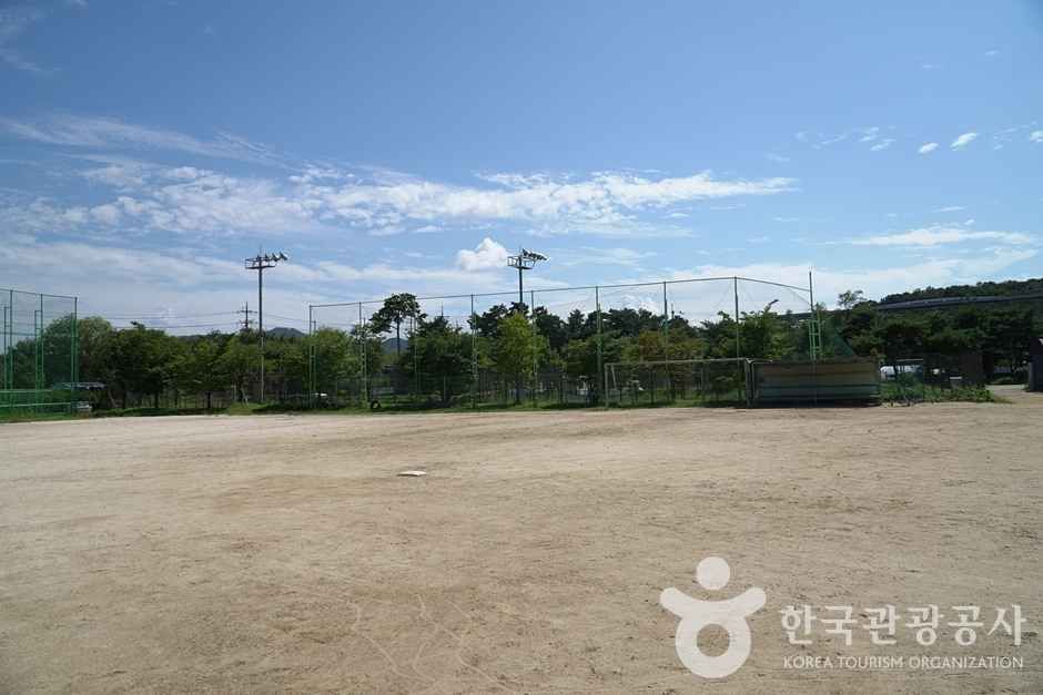 조안면체육공원 (7)
