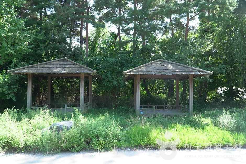 조안면체육공원 (13)