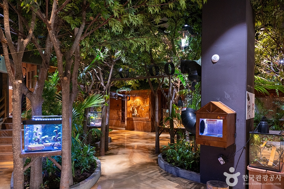 주렁주렁 동탄라크몽점 (4)