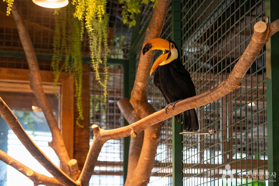 주렁주렁 동탄라크몽점 (8)