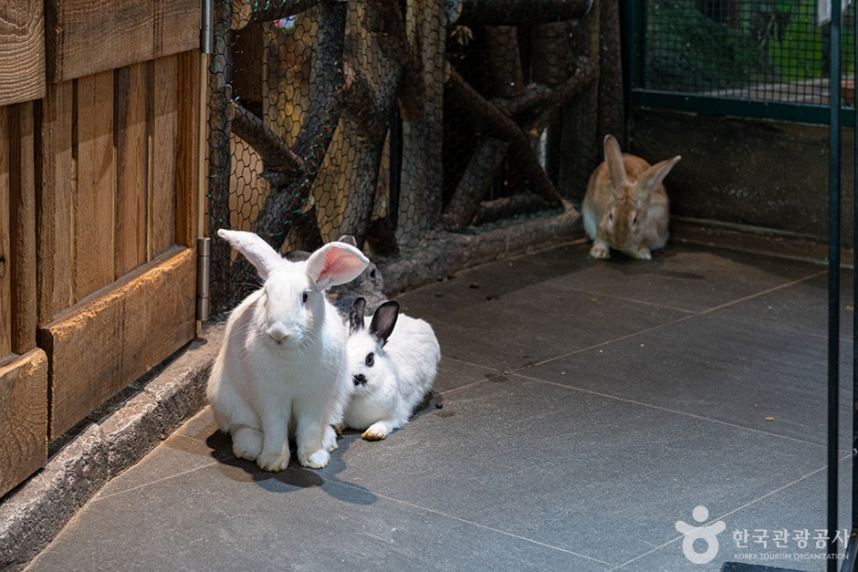 주렁주렁 동탄라크몽점 (10)