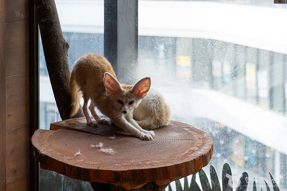 주렁주렁 동탄라크몽점 (13)