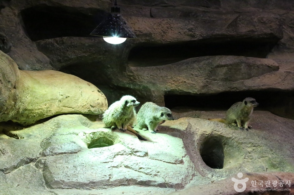 주렁주렁하남점 (3)