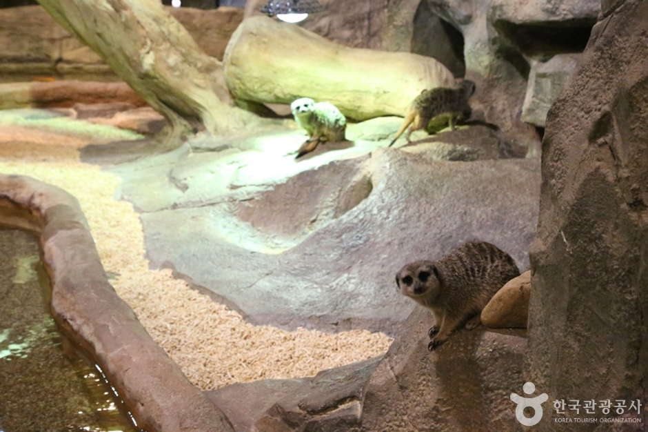 주렁주렁하남점 (6)