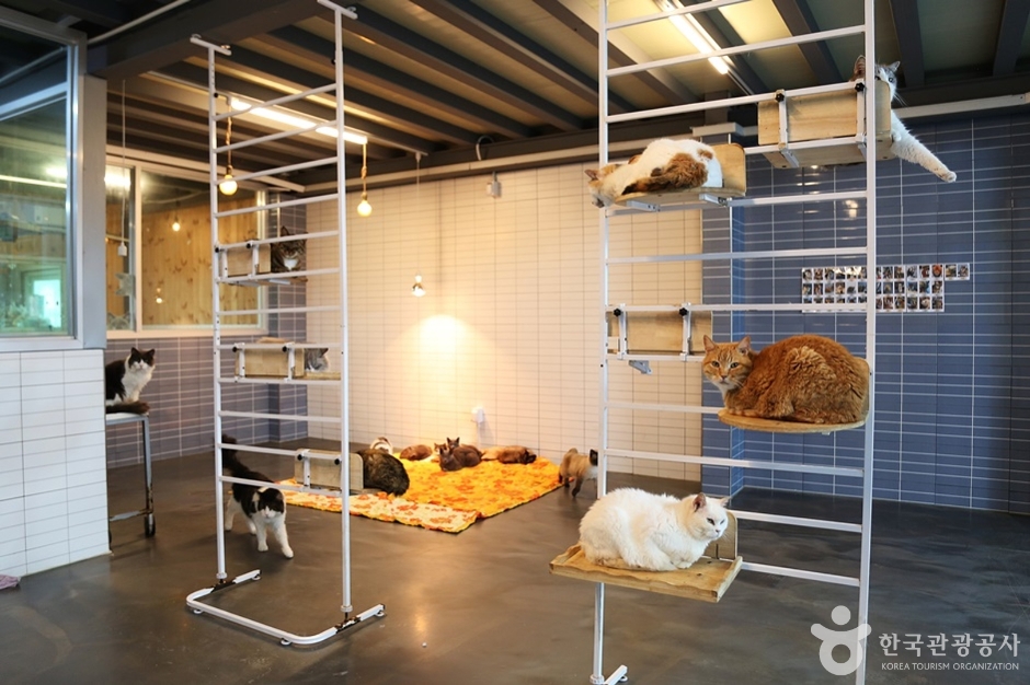 주주팜 동물농장 (15)