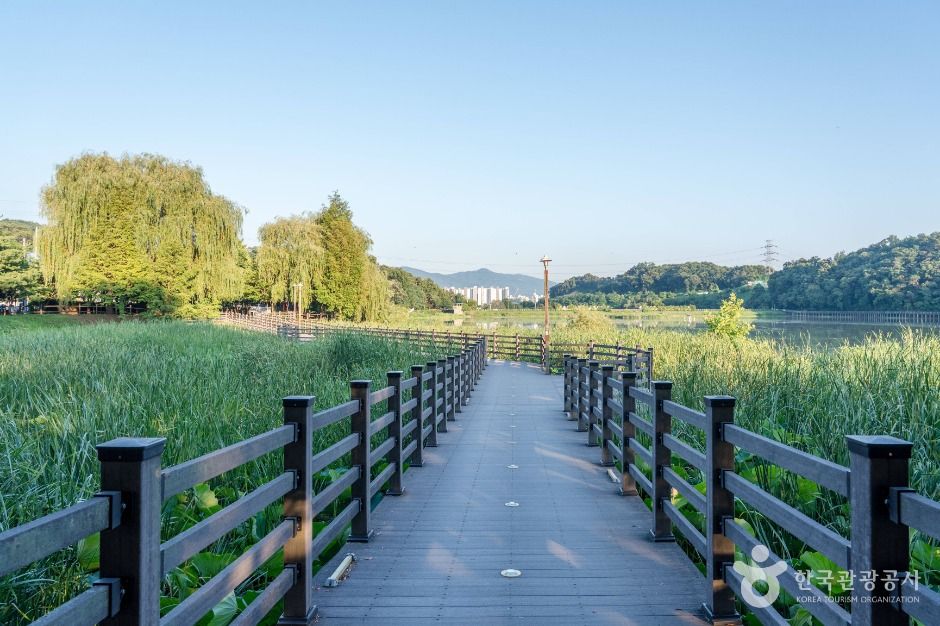 경기광주_중대물빛공원 (2)