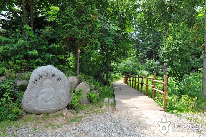 중미산자연휴양림