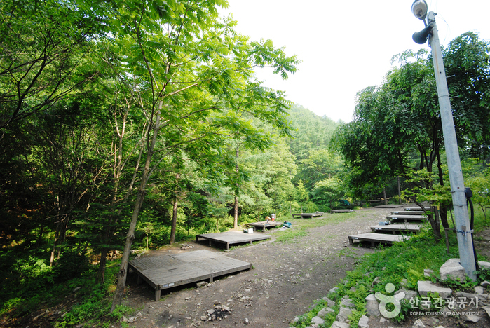 중미산자연휴양림_01