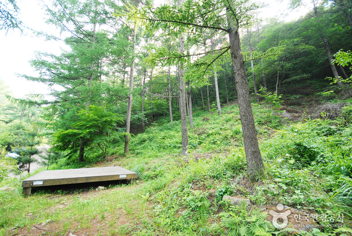 중미산자연휴양림_02