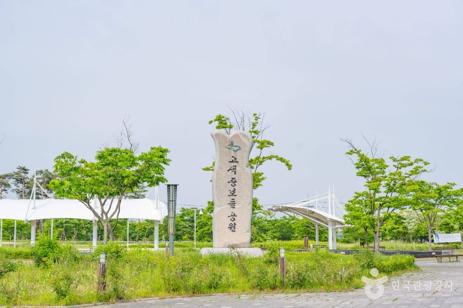 수원_중보들공원 (3)