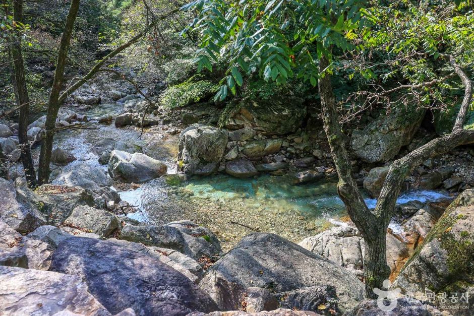 중원계곡 (2)