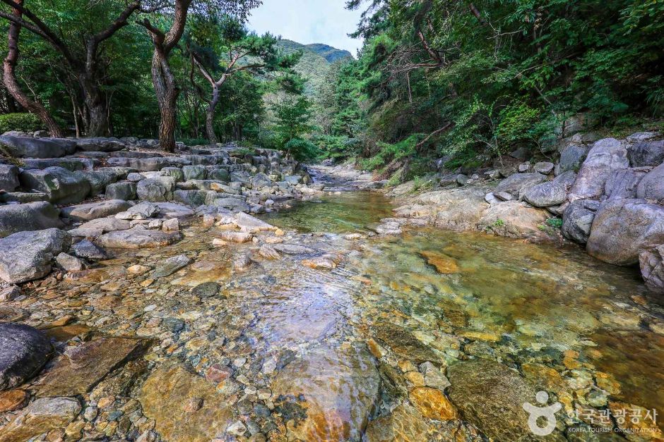 중원계곡 (3)