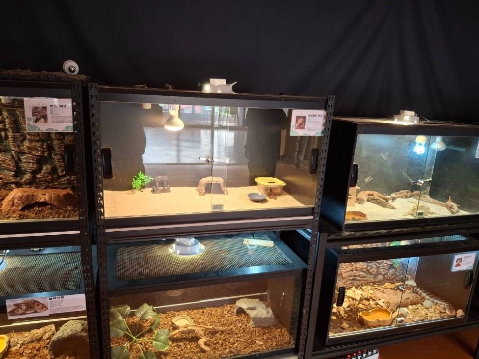 파주_쥬라리움 파주점 (1)