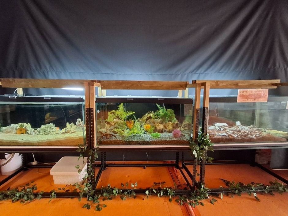 파주_쥬라리움 파주점 (2)