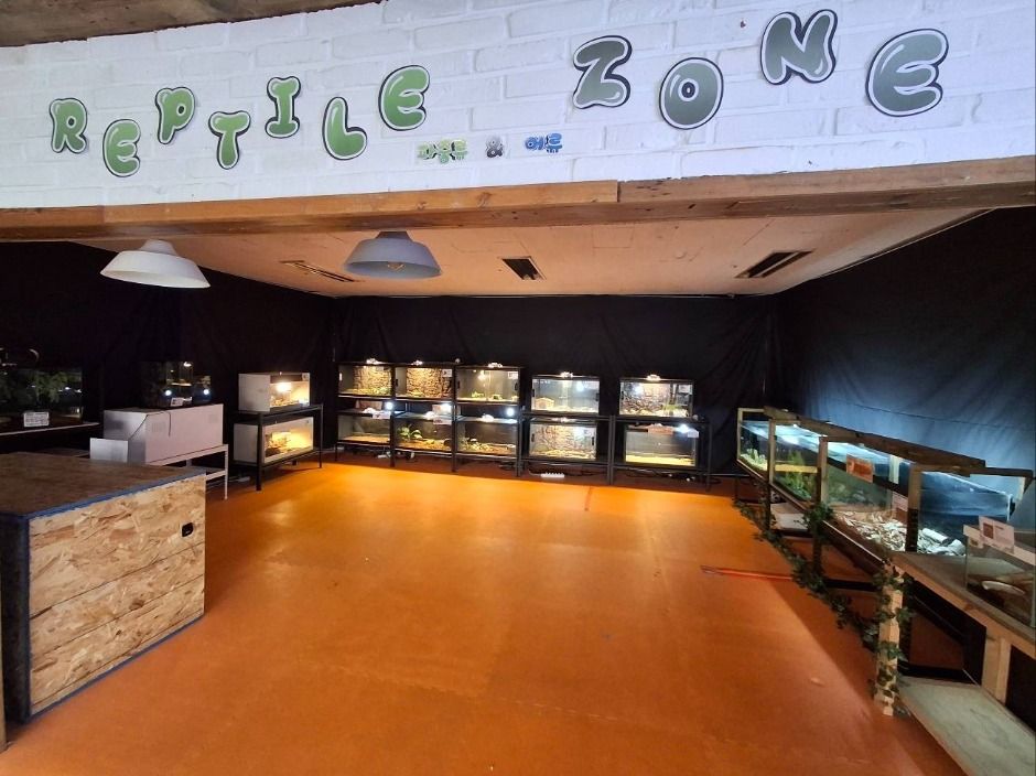 파주_쥬라리움 파주점 (3)