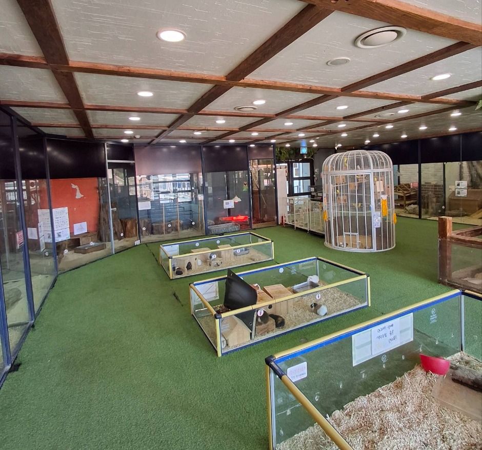 파주_쥬라리움 파주점 (4)