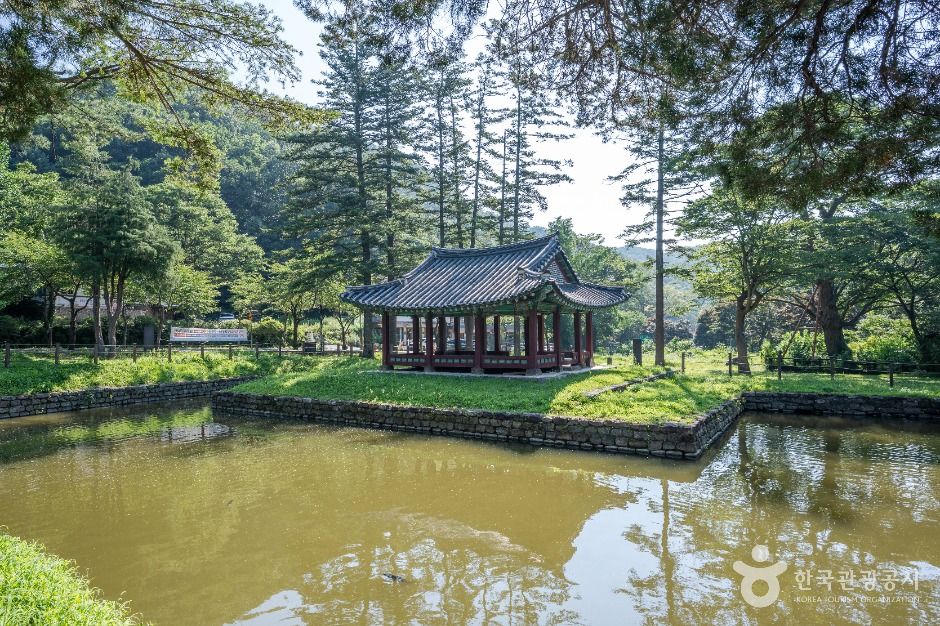 광주_지수당 (5)