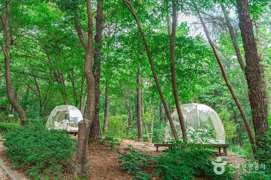 의정부_직동 근린공원 (2)