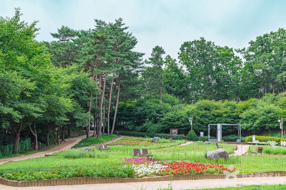 의정부_직동 근린공원 (3)