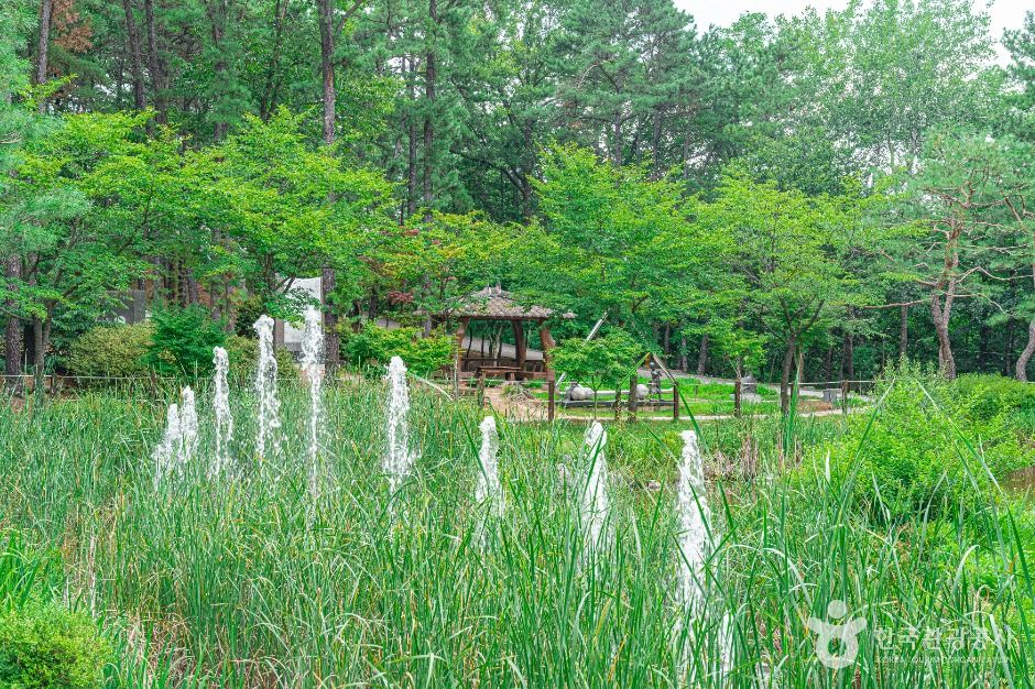 의정부_직동 근린공원 (4)