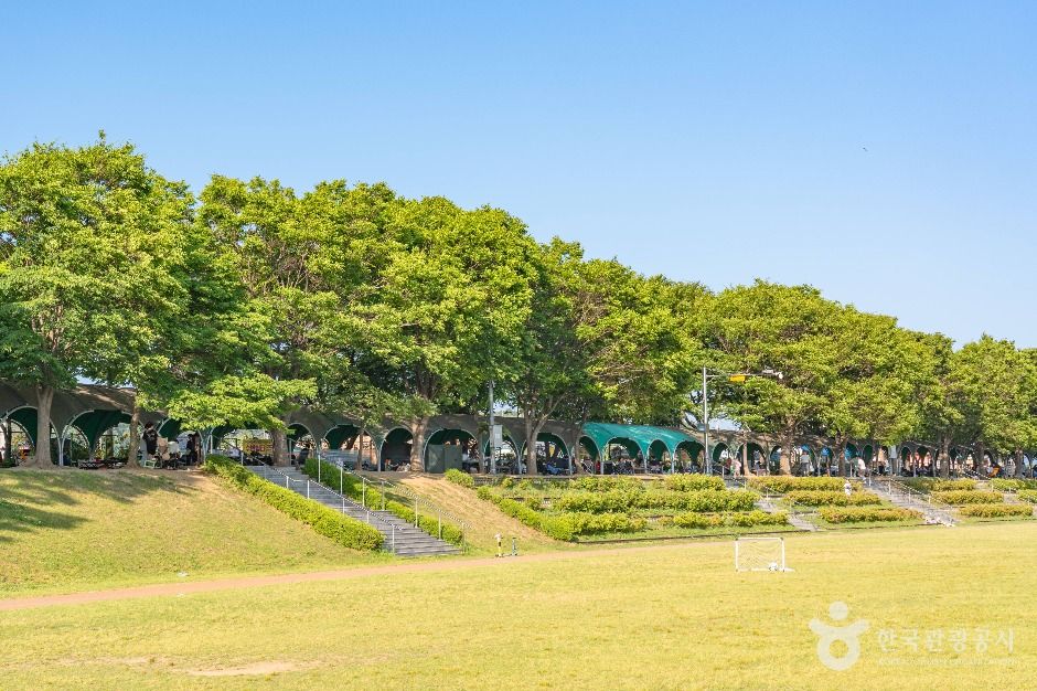 평택_진위천유원지 (5)