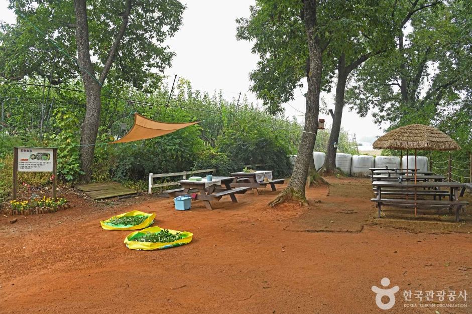 화성_진주목장 낙농체험 (3)