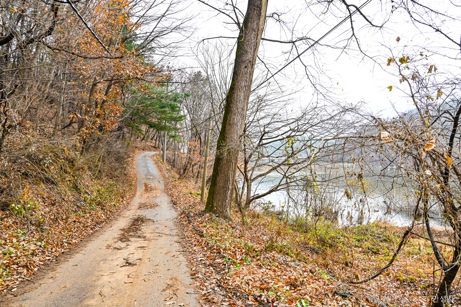 경기도_안성시_천덕제_산책로