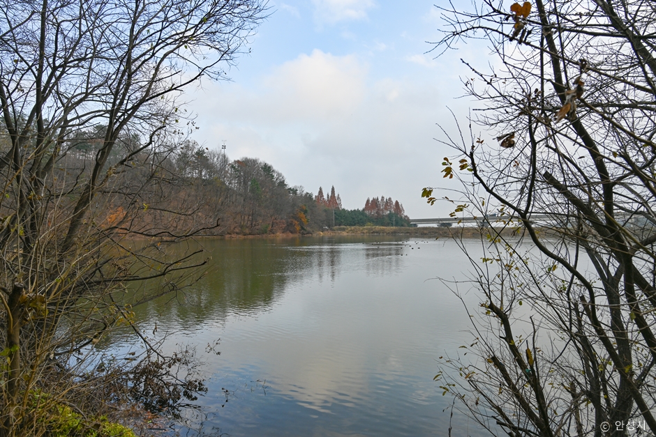 경기도_안성시_천덕제_풍경_3