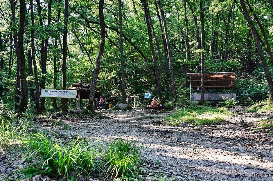 남양주_천마산 시립공원 (6)