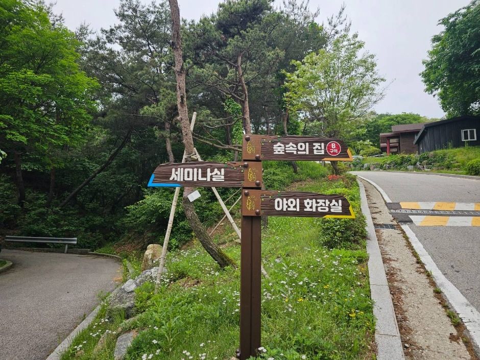 포천_천보산 자연휴양림 (9)