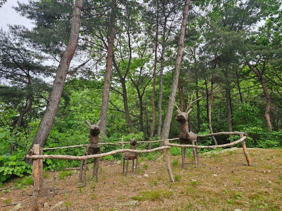 포천_천보산 자연휴양림 (10)