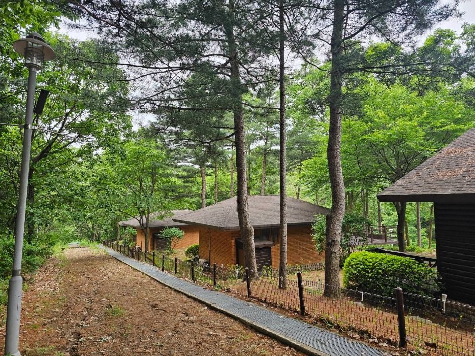 포천_천보산 자연휴양림 (15)