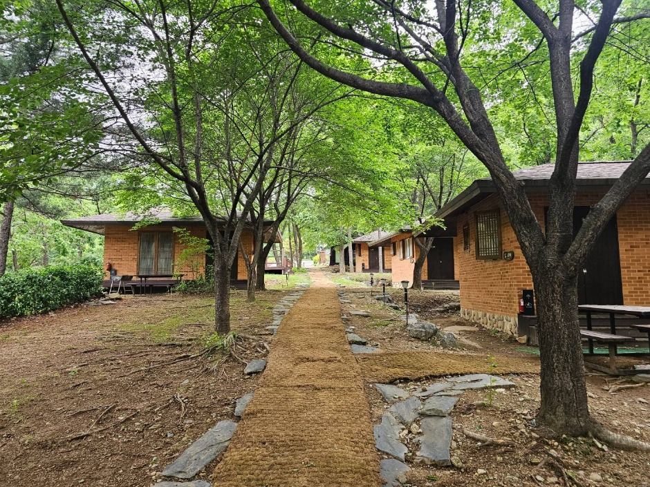 포천_천보산 자연휴양림 (18)