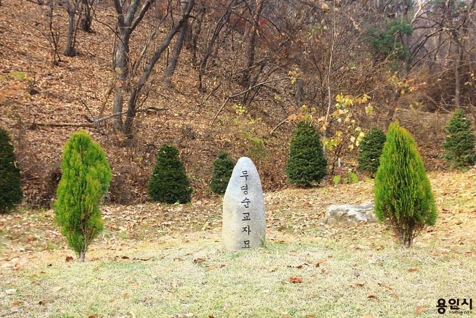 경기도_용인시_천주교손골성지_무명순교자묘