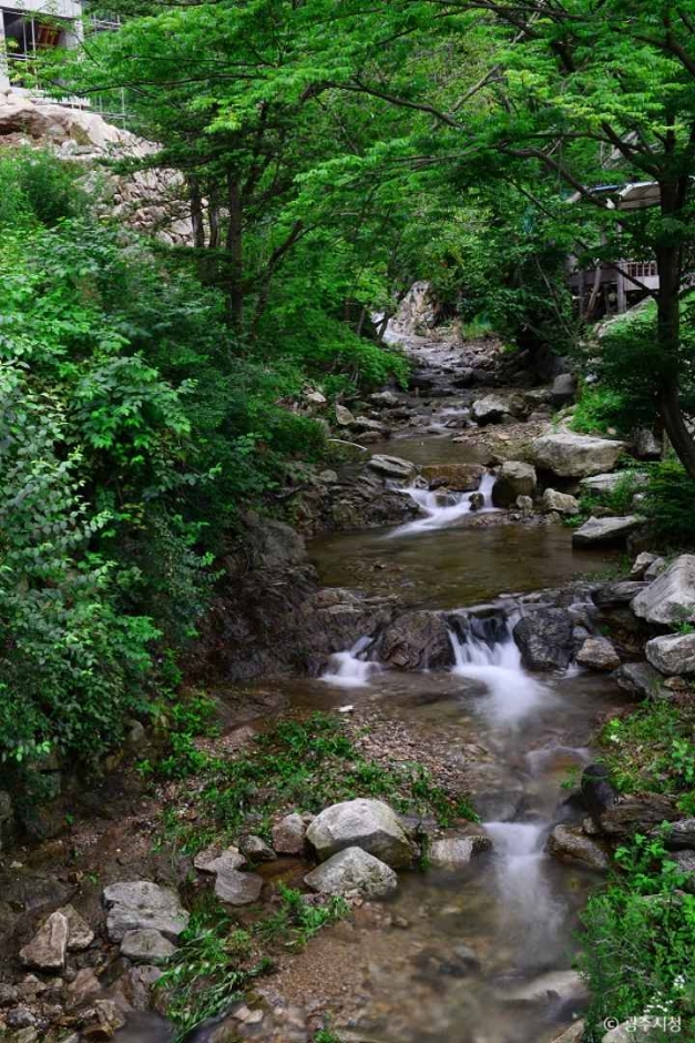 천진암계곡 5