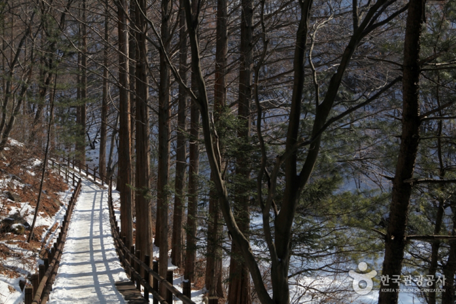 청계산맑은숲공원