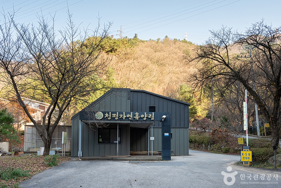 청평자연휴양림 (2)