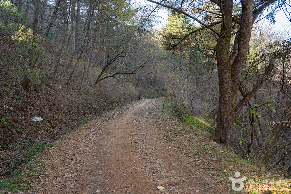 청평자연휴양림 (4)