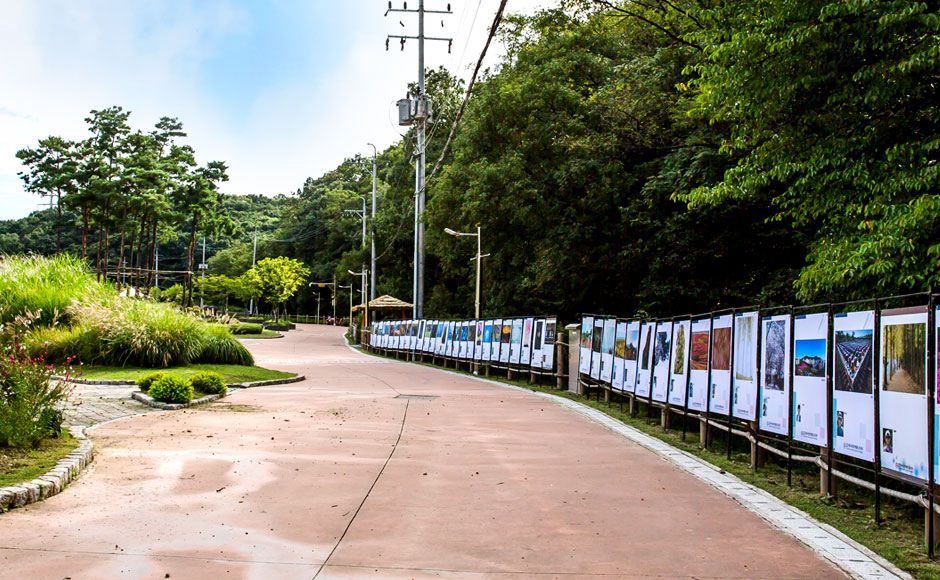 초막골생태공원_전경2