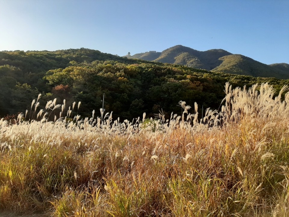 초막골생태공원_가을전경