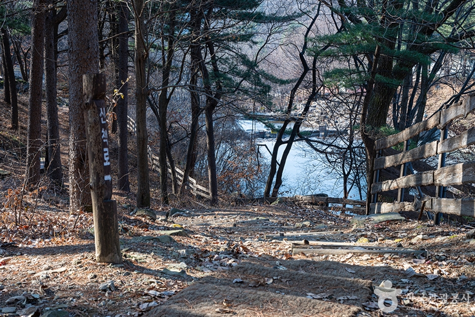 축령산자연휴양림 (1)