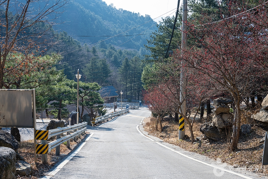 축령산자연휴양림 (3)