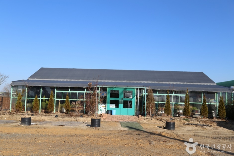 치유농장 뒤란 (4)